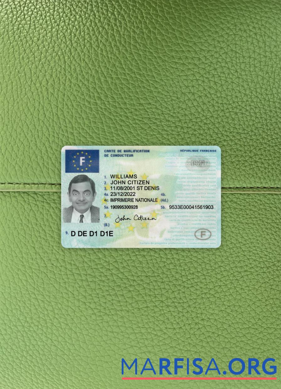 Realistic France driving license 2022 present photolook real example